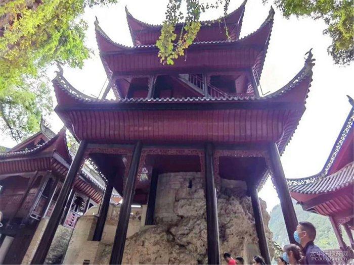 了解知识星球平台国企歧视自考本科吗的独特魅力